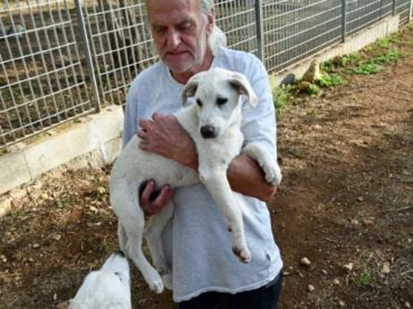 Dalia sucht engen Familienanschluss