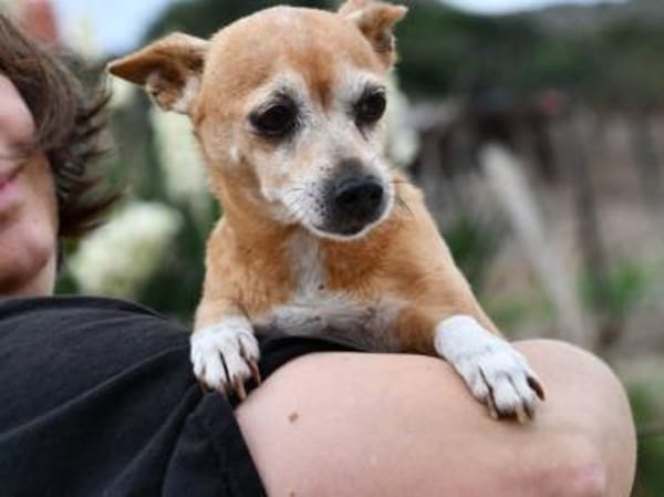 Mia sucht neue Familie