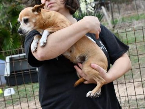 Mia sucht neue Familie