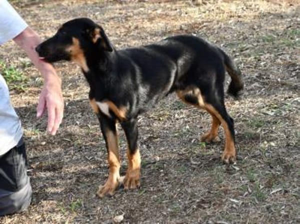 Nehmen Sie liebenswerten Deny auf ?