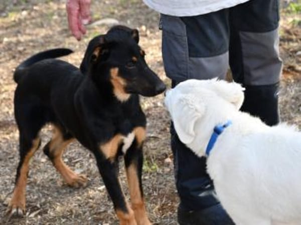 Nehmen Sie liebenswerten Deny auf ?
