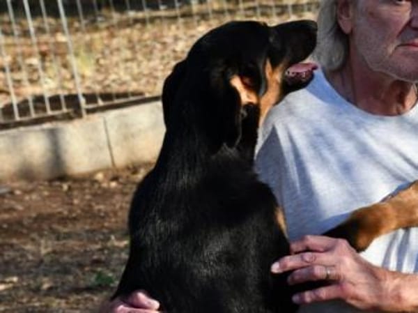 Nehmen Sie liebenswerten Deny auf ?