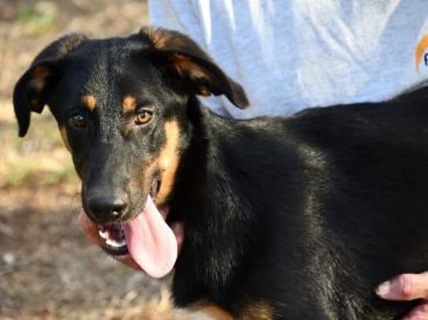 Nehmen Sie liebenswerten Deny auf ?