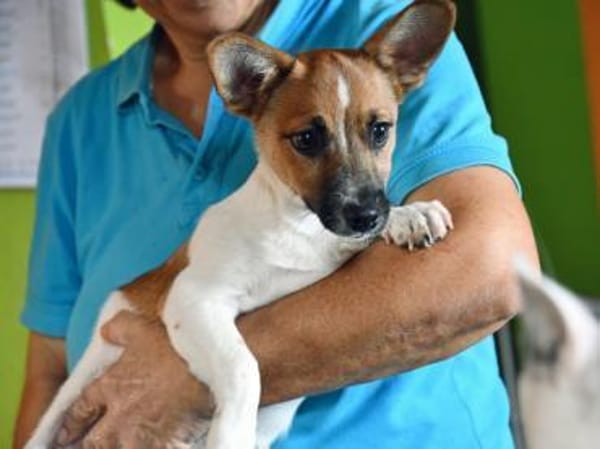 Leon sucht aktive Menschen