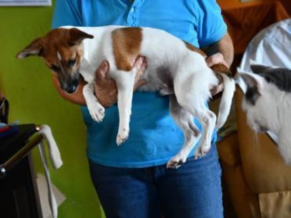 Leon sucht aktive Menschen