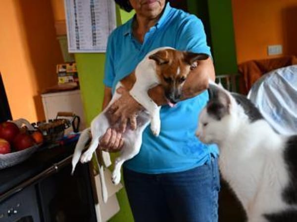 Leon sucht aktive Menschen