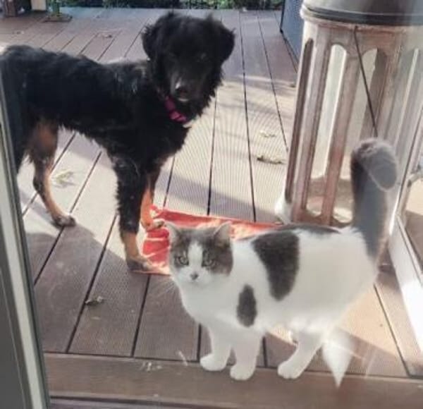 FUSSEL *ich geh mit Dir wohin Du willst