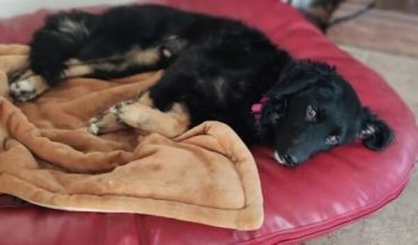 FUSSEL *ich geh mit Dir wohin Du willst