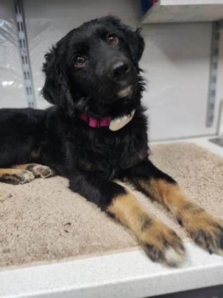 FUSSEL *ich geh mit Dir wohin Du willst