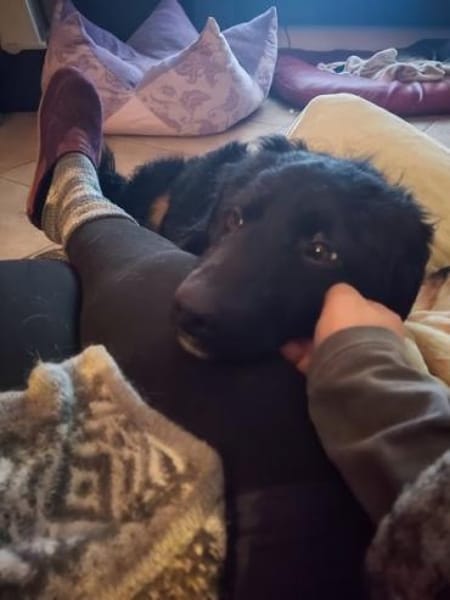 FUSSEL *ich geh mit Dir wohin Du willst