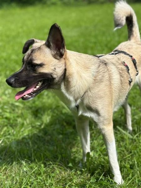 TIGER WOODS - charmant und lebenslustig