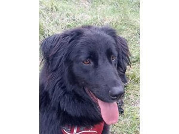 Princess - wartet in 99310 Arnstadt