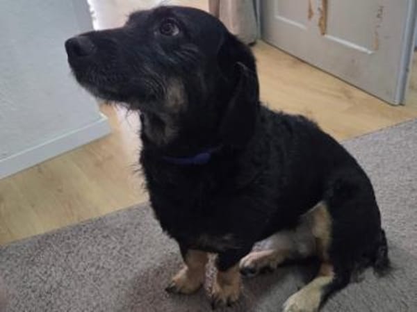 Thora hofft auf ihre neue Chance