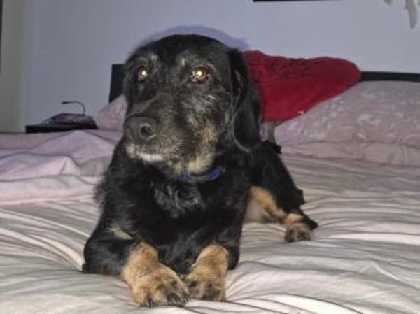 Thora hofft auf ihre neue Chance