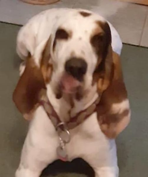 ELISABETH - sehr kapriziös.......