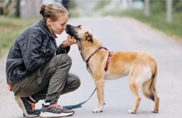 Mint, sportlicher Sonnenschein