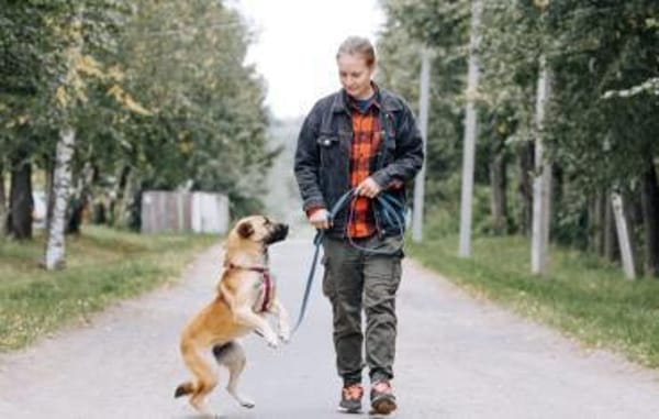 Mint, sportlicher Sonnenschein