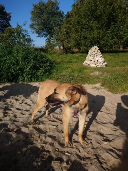 Mint, sportlicher Sonnenschein