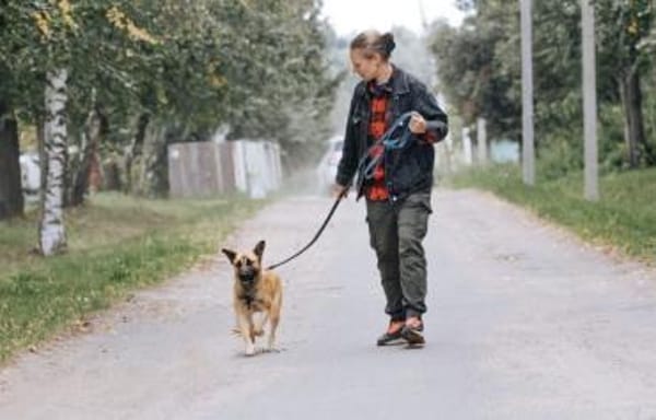 Mint, sportlicher Sonnenschein