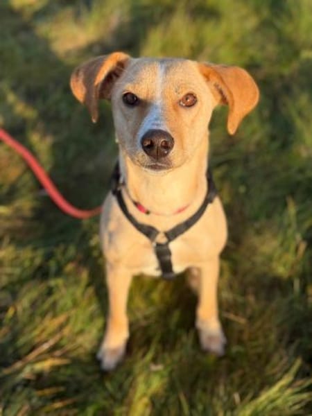 Kiani,50cm sucht ihre Familie