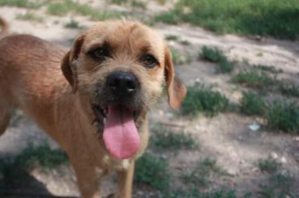 Jack freut sich auf die Welt