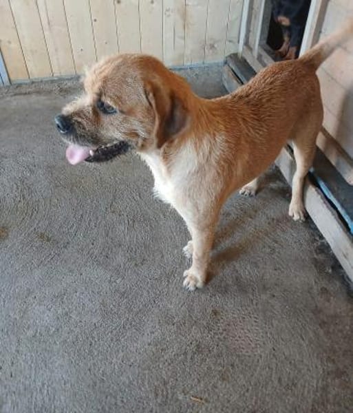 Jack freut sich auf die Welt