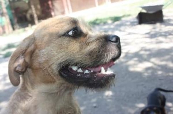 Jack freut sich auf die Welt