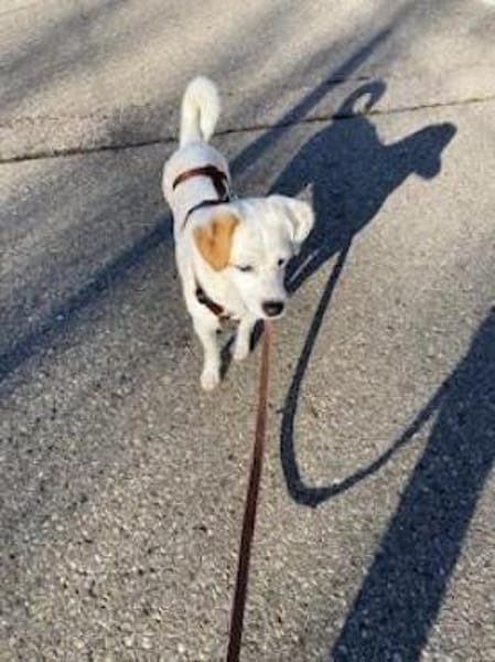 Carla in 86420 Diedorf zur Pflege