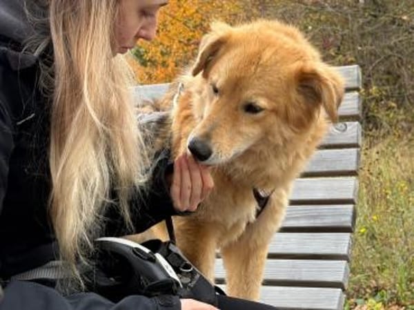 Chani - wartet auf ihre Herzensmenschen