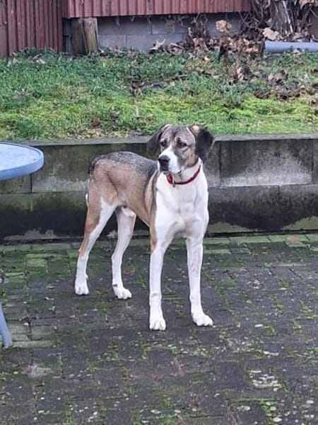 Dias aus 21776 Wanna