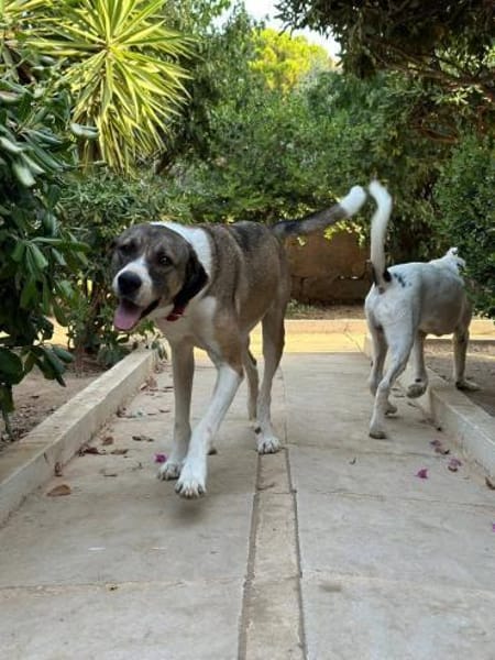 Dias aus 21776 Wanna