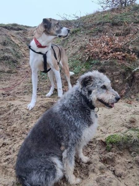 Dias aus 21776 Wanna