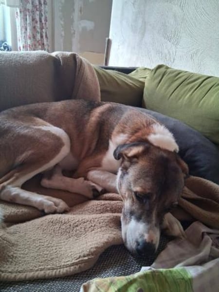 Dias aus 21776 Wanna