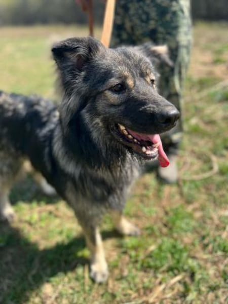 kinderliebe Schönheit namens Fenya