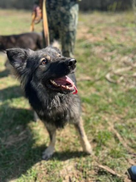 kinderliebe Schönheit namens Fenya