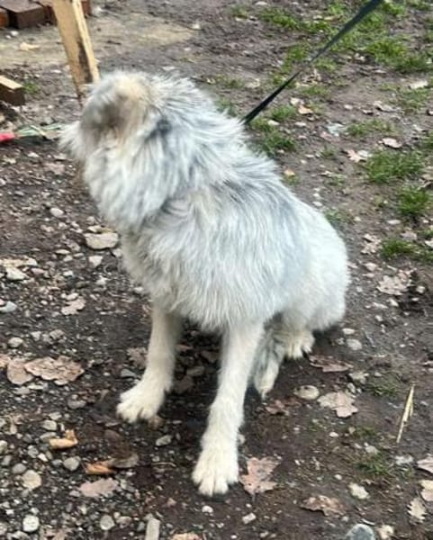 Momo, suche Anschluß