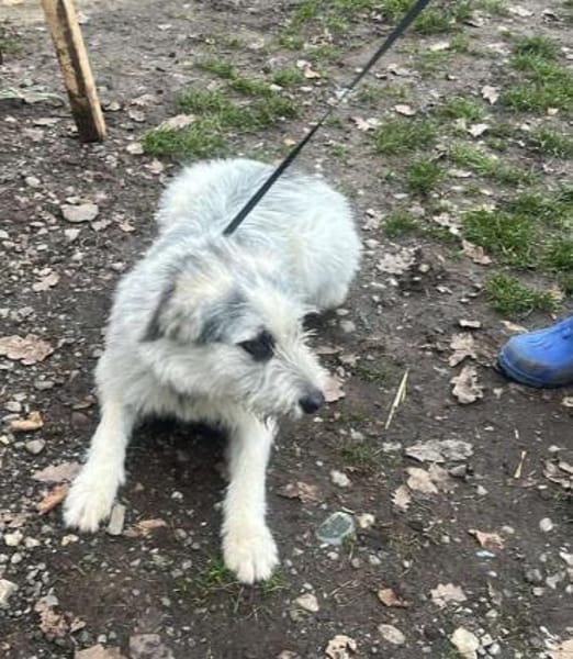 Momo, suche Anschluß