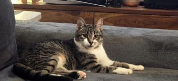 Ariel auf PS Herdecke