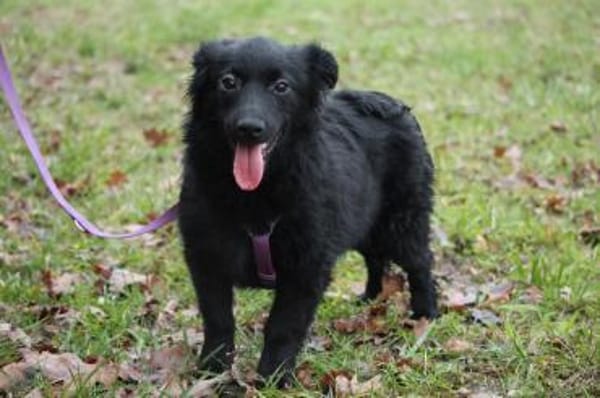 Leilanie unser Zuckerschnute...