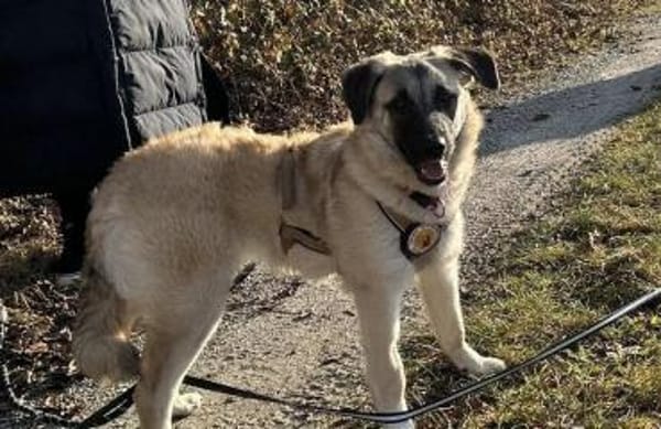 Amber sucht ihre Familie