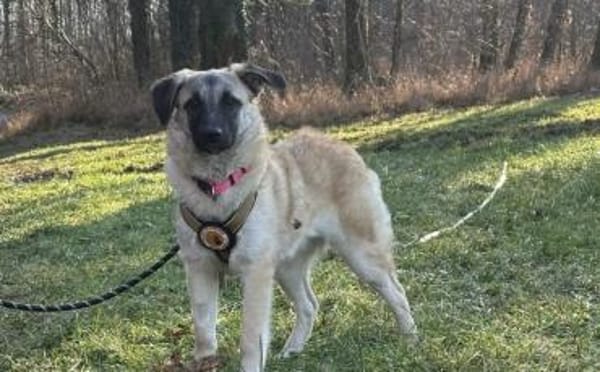 Amber sucht ihre Familie