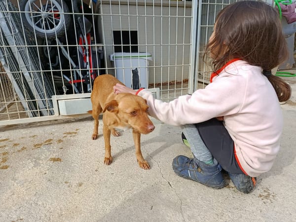 FLORA (union animal)