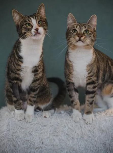 Judy & Zuza ein tolles Dreamteam