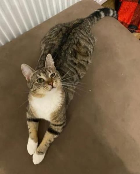 Judy & Zuza ein tolles Dreamteam