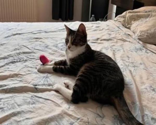 Judy & Zuza ein tolles Dreamteam