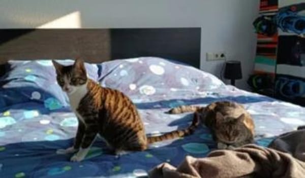 Judy & Zuza ein tolles Dreamteam