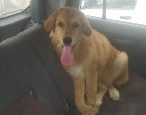 Molly -  hatte keinen guten Start