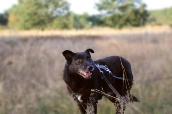 Hope - der Name ist Programm