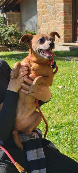 🧡Gitte - in Deutschland zur Pflege