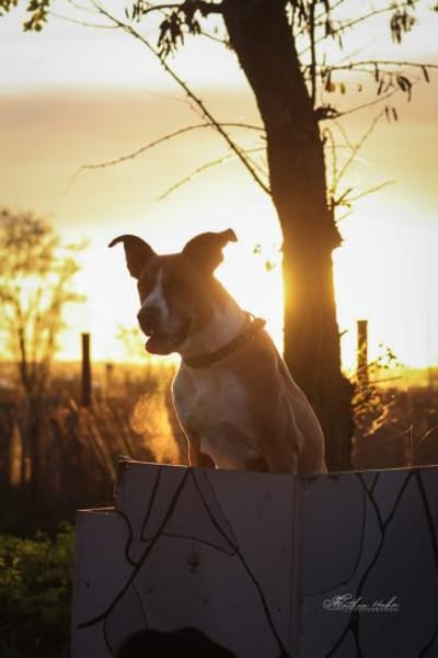 Rina - sportlich und aktiv